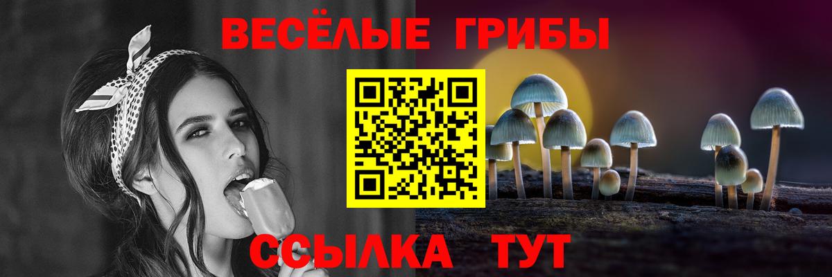 Псилоцибиновые грибы GOLDEN TEACHER  даркнет сайт  Крымск  Вход с VPN 